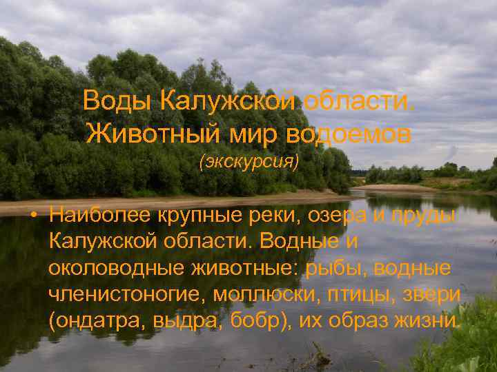 Воды Калужской области. Животный мир водоемов (экскурсия) • Наиболее крупные реки, озера и пруды