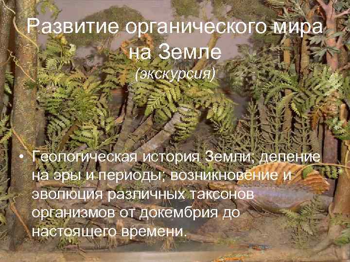 Развитие органического мира на Земле (экскурсия) • Геологическая история Земли; деление на эры и