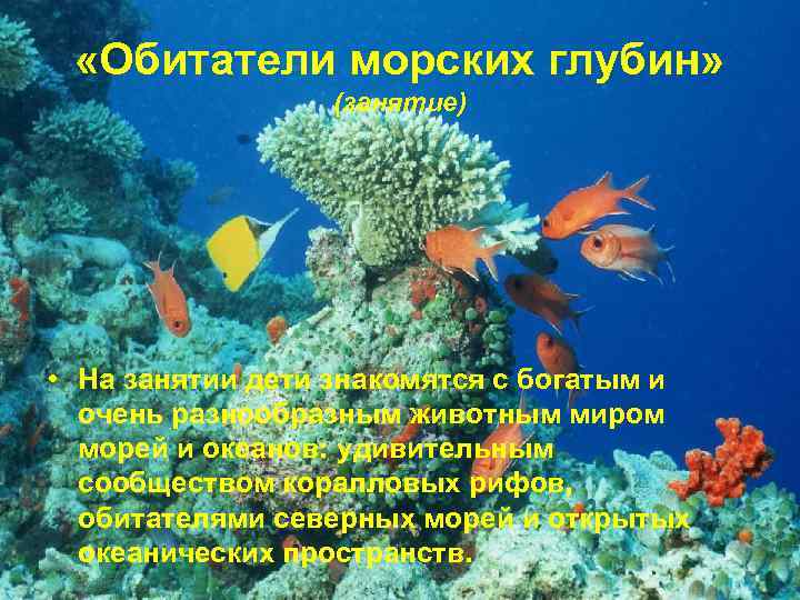  «Обитатели морских глубин» (занятие) • На занятии дети знакомятся с богатым и очень