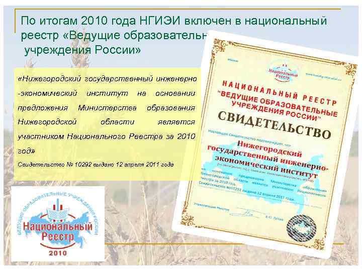 По итогам 2010 года НГИЭИ включен в национальный реестр «Ведущие образовательные учреждения России» «Нижегородский