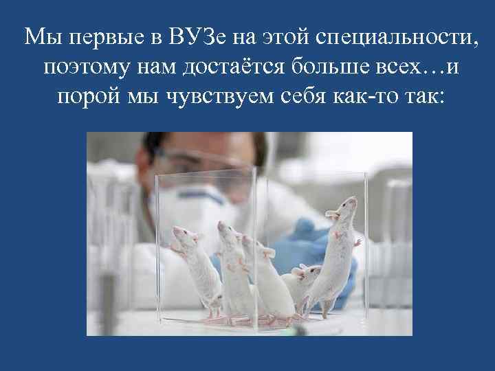Мы первые в ВУЗе на этой специальности, поэтому нам достаётся больше всех…и порой мы