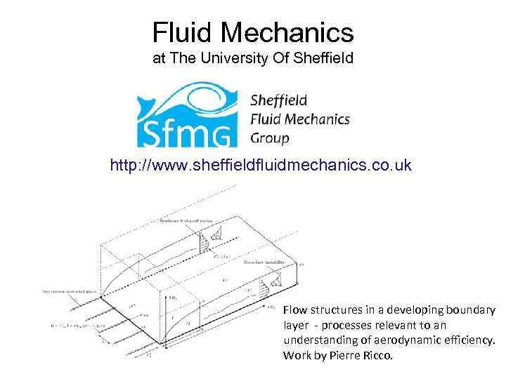 Fluid Mechanics at The University Of Sheffield http: //www. sheffieldfluidmechanics. co. uk Flow structures