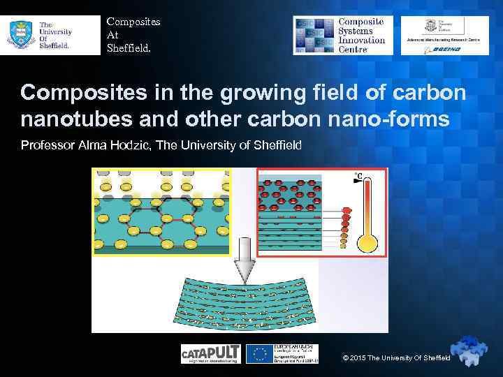 Composites At Sheffield. Composites in the growing field of carbon nanotubes and other carbon