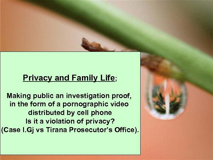 Privacy and Family Life; Making public an investigation proof, in the form of a