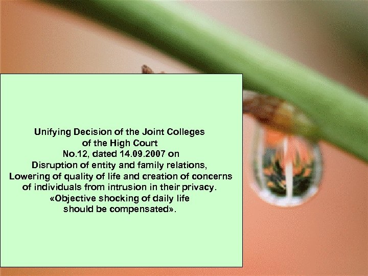 Unifying Decision of the Joint Colleges of the High Court No. 12, dated 14.