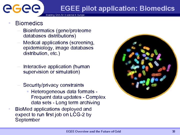 EGEE pilot application: Biomedics Enabling Grids for E-science in Europe • Biomedics – Bioinformatics