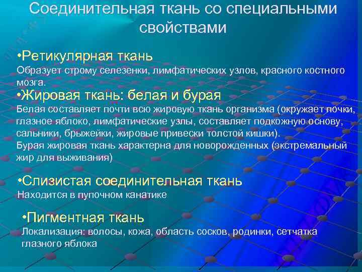 Соединительная ткань со специальными свойствами • Ретикулярная ткань Образует строму селезенки, лимфатических узлов, красного