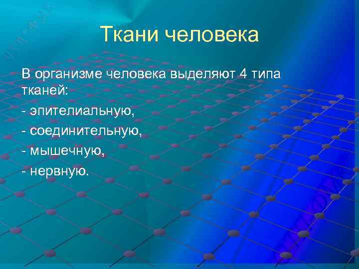 Ткани человека В организме человека выделяют 4 типа тканей: - эпителиальную, - соединительную, -