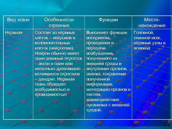 Вид ткани Нервная Особенности строения Функции Состоит из нервных клеток – нейронов и вспомогательных