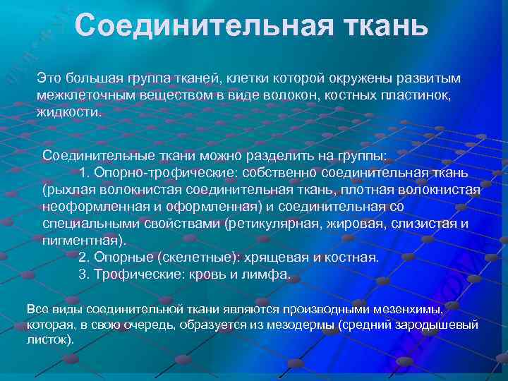 Соединительная ткань Это большая группа тканей, клетки которой окружены развитым межклеточным веществом в виде