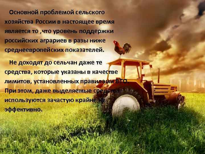 Основной проблемой сельского хозяйства России в настоящее время является то , что уровень поддержки