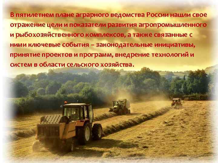 В пятилетнем плане аграрного ведомства России нашли свое отражение цели и показатели развития агропромышленного