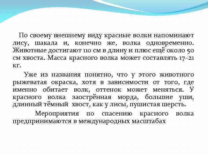  По своему внешнему виду красные волки напоминают лису, шакала и, конечно же, волка