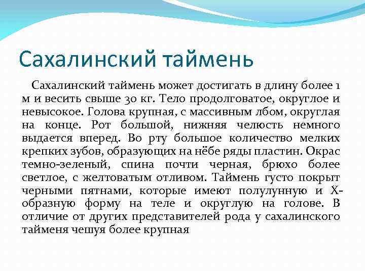 Сахалинский таймень может достигать в длину более 1 м и весить свыше 30 кг.