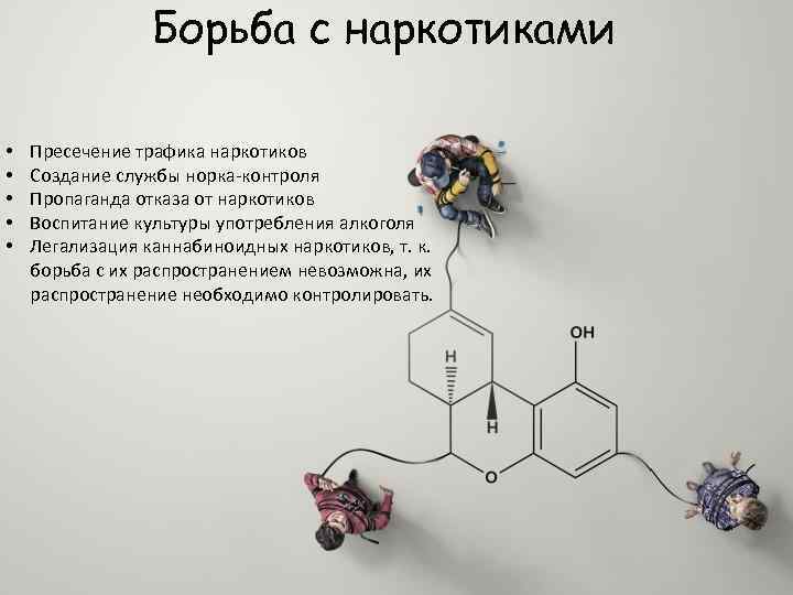 Борьба с наркотиками • • • Пресечение трафика наркотиков Создание службы норка-контроля Пропаганда отказа
