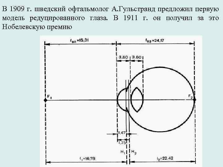 В 1909 г. шведский офтальмолог А. Гульстранд предложил первую модель редуцированного глаза. В 1911