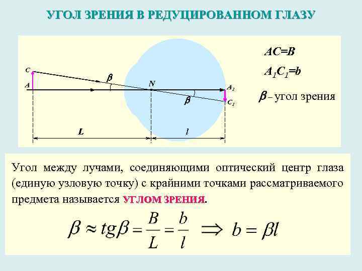 Построение изображения в глазу