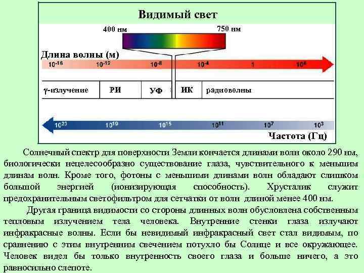 Видимый свет 750 нм 400 нм Длина волны (м) g-излучение РИ УФ ИК радиоволны