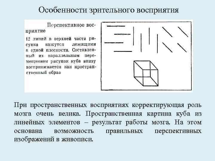 Особенности зрительного восприятия При пространственных восприятиях корректирующая роль мозга очень велика. Пространственная картина куба