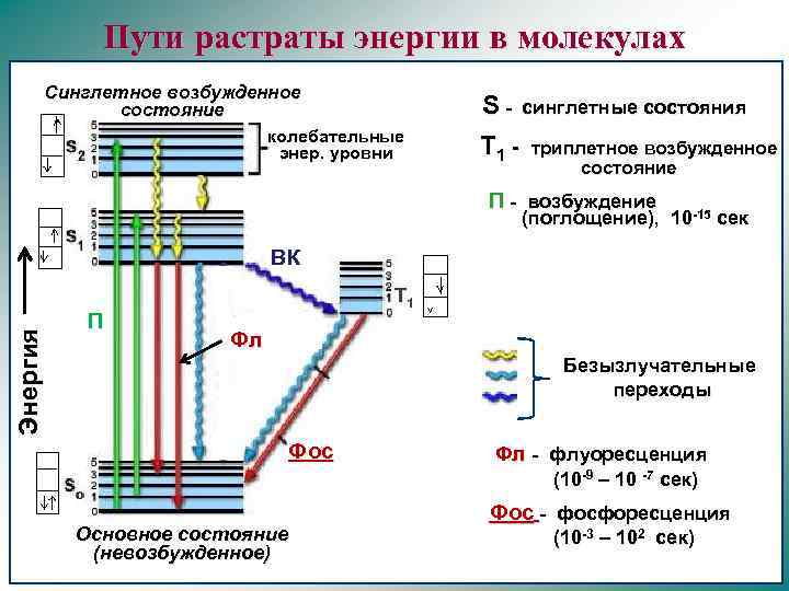 Схема энергетических уровней молекулы