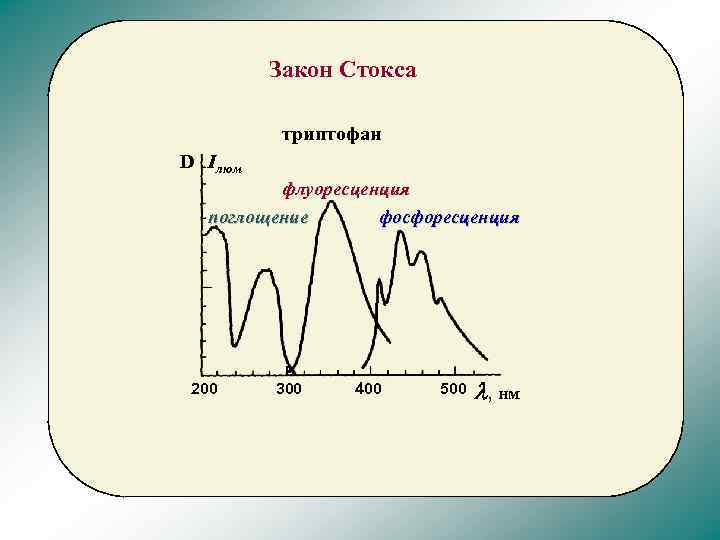 Закон Стокса триптофан D Iлюм флуоресценция поглощение фосфоресценция 200 300 400 500 l, нм