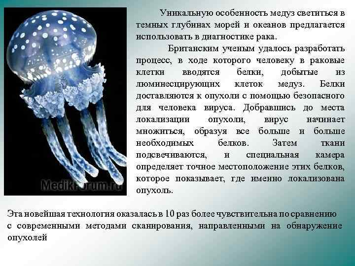 Уникальную особенность медуз светиться в темных глубинах морей и океанов предлагается использовать в диагностике