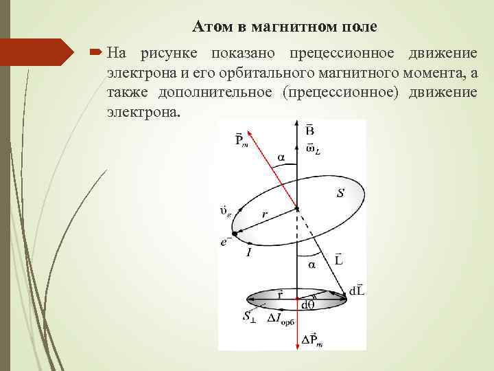 Магнитное поле магнитного момента атома