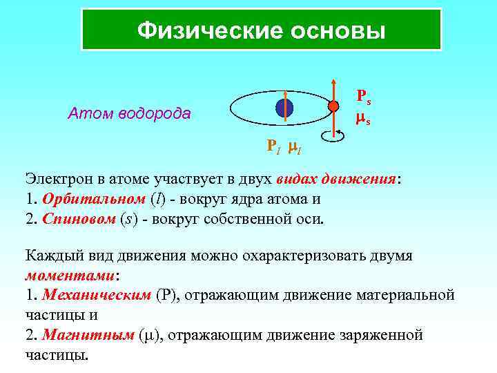 Сколько электронов движется вокруг ядра. Орбитальный и спиновый магнитные моменты электрона. Орбитальный и спиновый момент электрона. Спиновый магнитный момент электрона формула. Магнитный момент ядра атома.