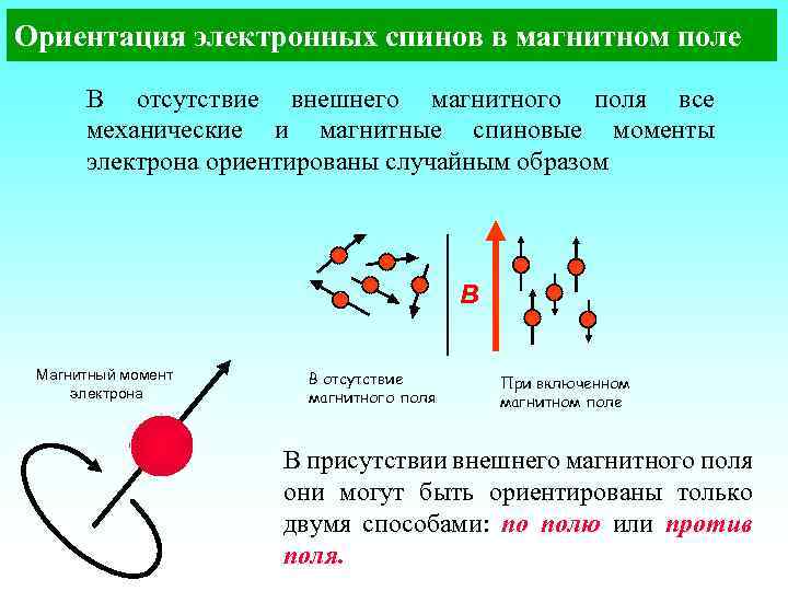 На рисунке излучение радиоактивного вещества исследуется в магнитном поле вправо отклоняются