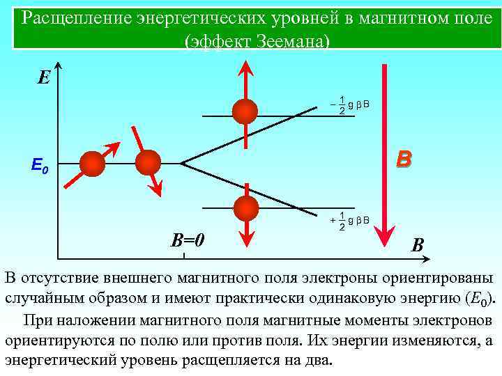 Расщепление энергетических уровней в магнитном поле (эффект Зеемана) E 1 g В 2 В