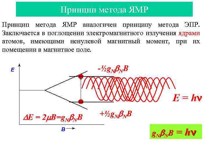 Принцип метода ЯМР аналогичен принципу метода ЭПР. Заключается в поглощении электромагнитного излучения ядрами атомов,