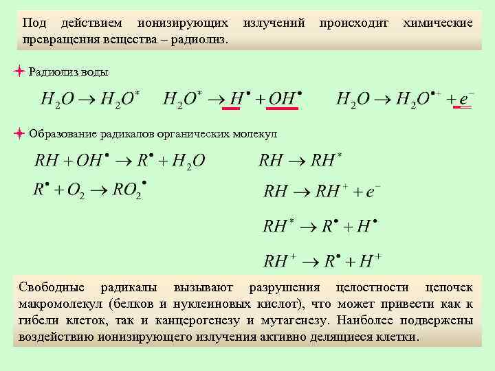 Под действием ионизирующих излучений происходит химические превращения вещества – радиолиз. Радиолиз воды Образование радикалов