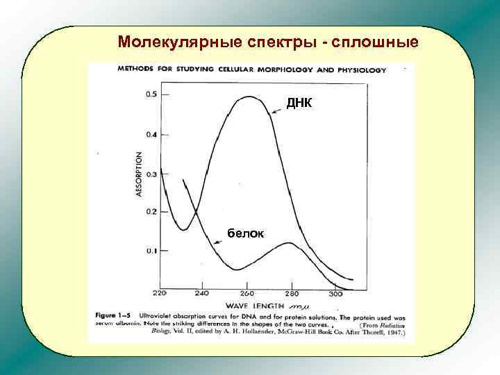 Молекулярные спектры - сплошные ДНК белок 