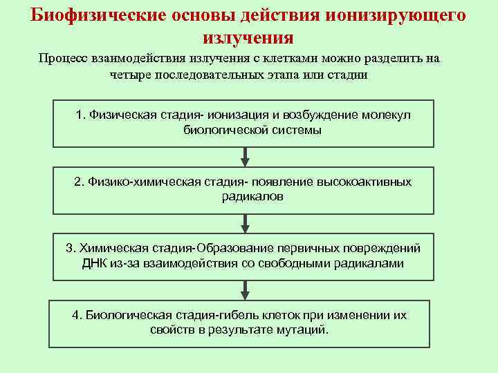 Биофизические основы действия ионизирующего излучения Процесс взаимодействия излучения с клетками можно разделить на четыре