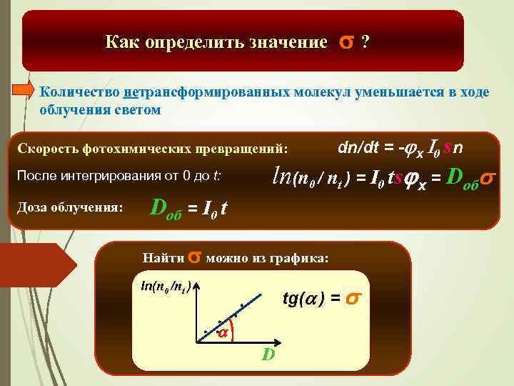 Как определить значение s? Количество нетрансформированных молекул уменьшается в ходе облучения светом Скорость фотохимических
