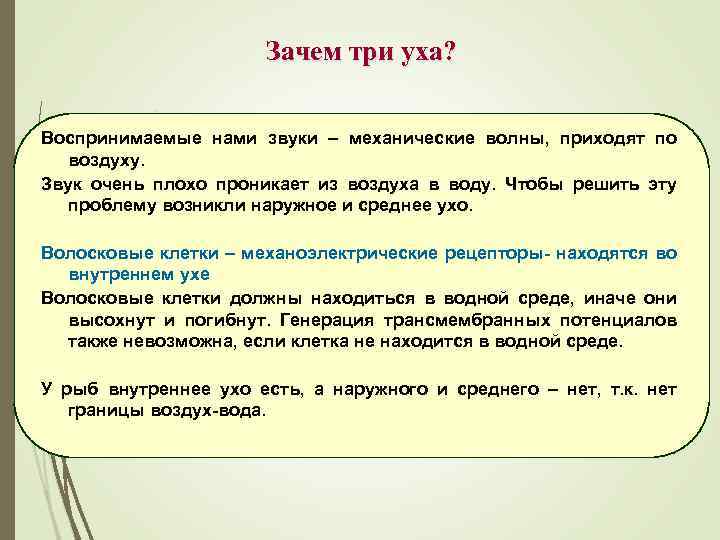 Зачем три уха? Воспринимаемые нами звуки – механические волны, приходят по воздуху. Звук очень