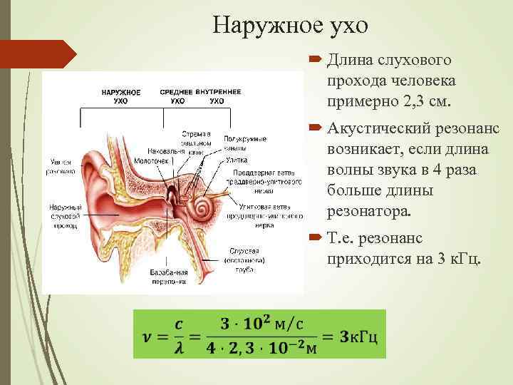 Уху сколько время