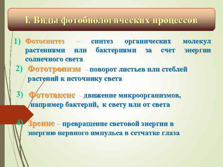 I. Виды фотобиологических процессов 1) Фотосинтез – синтез органических молекул растениями или бактериями за