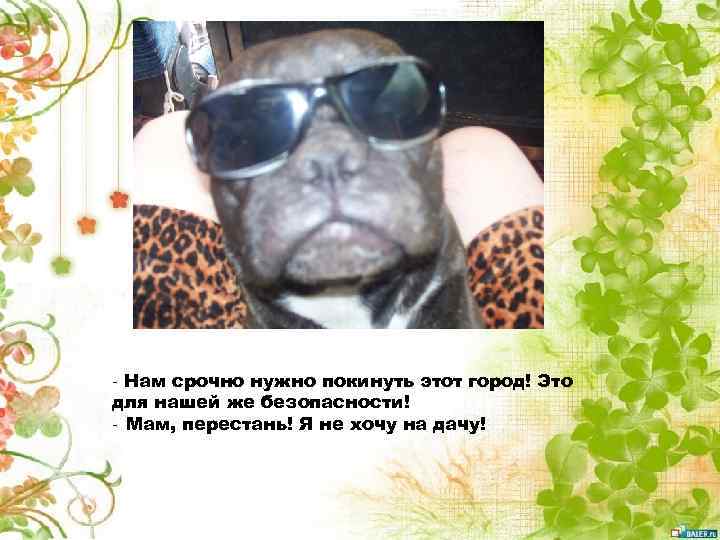 - Нам срочно нужно покинуть этот город! Это для нашей же безопасности! - Мам,