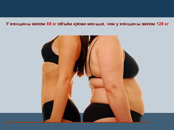 У женщины весом 60 кг объём крови меньше, чем у женщины весом 120 кг