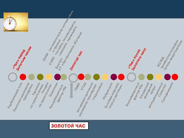 ЗОЛОТОЙ ЧАС ок ок ал ь си м мб и фа нант кто ны