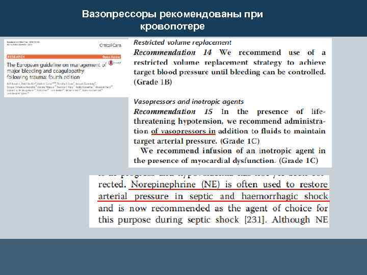 Вазопрессоры рекомендованы при кровопотере 