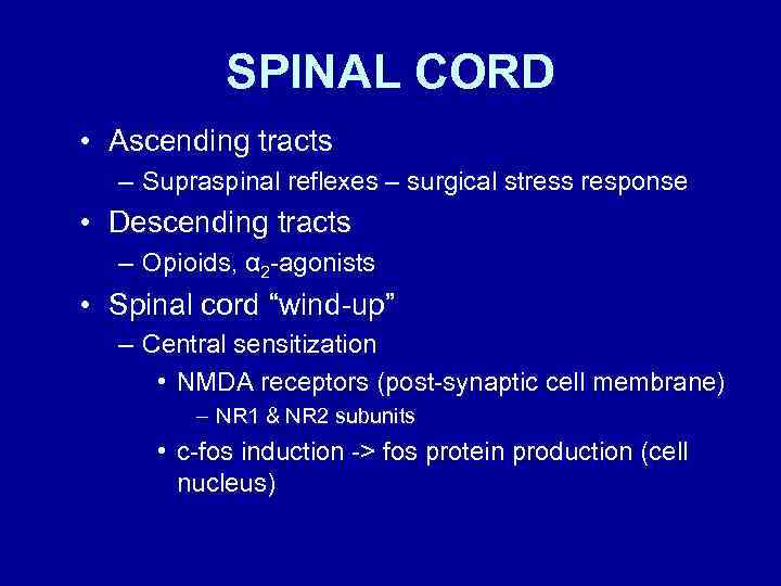 SPINAL CORD • Ascending tracts – Supraspinal reflexes – surgical stress response • Descending