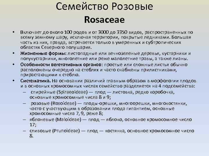 Семейство Розовые Rosaceae • • Включает до около 100 родов и от 3000 до