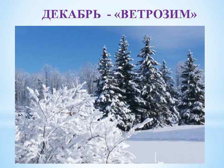 ДЕКАБРЬ - «ВЕТРОЗИМ» 