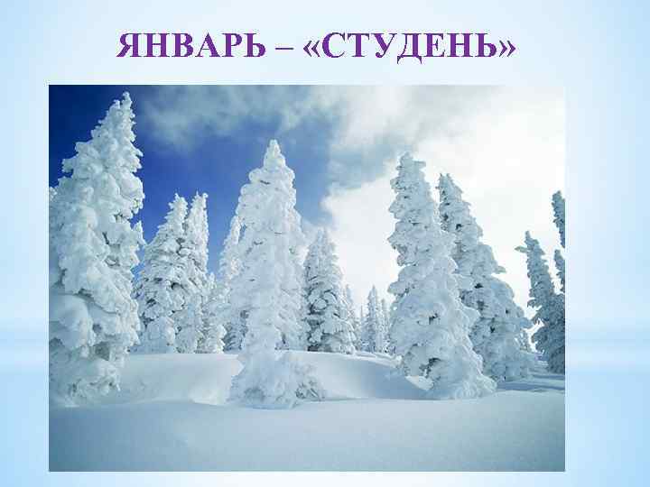 ЯНВАРЬ – «СТУДЕНЬ» 