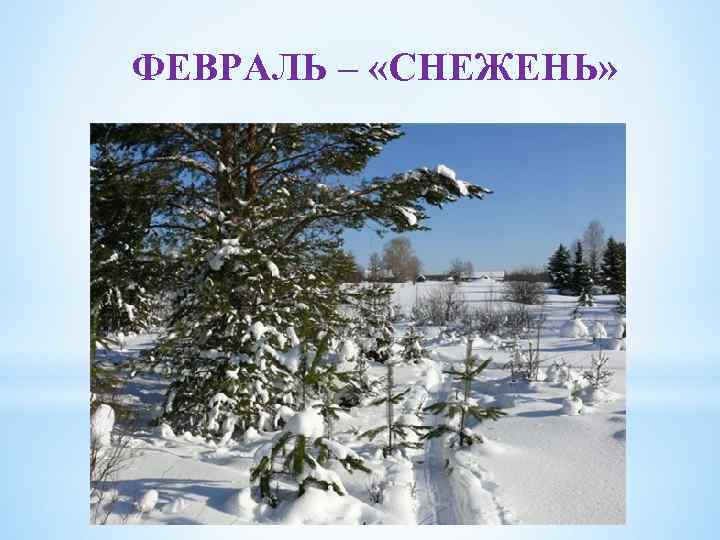 ФЕВРАЛЬ – «СНЕЖЕНЬ» 