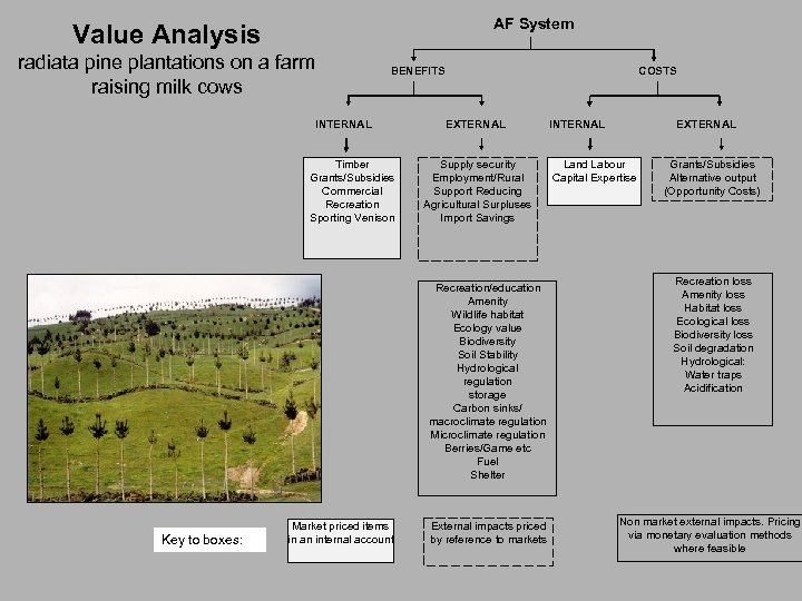 AF System Value Analysis radiata pine plantations on a farm raising milk cows COSTS