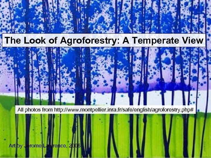 The Look of Agroforestry: A Temperate View All photos from http: //www. montpellier. inra.