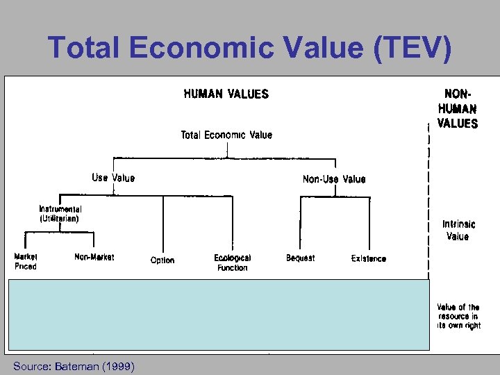 Total Economic Value (TEV) Source: Bateman (1999) 